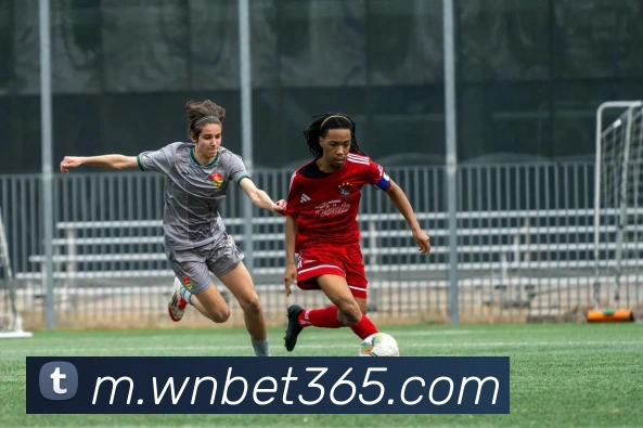 bet365中国官网平台生态图